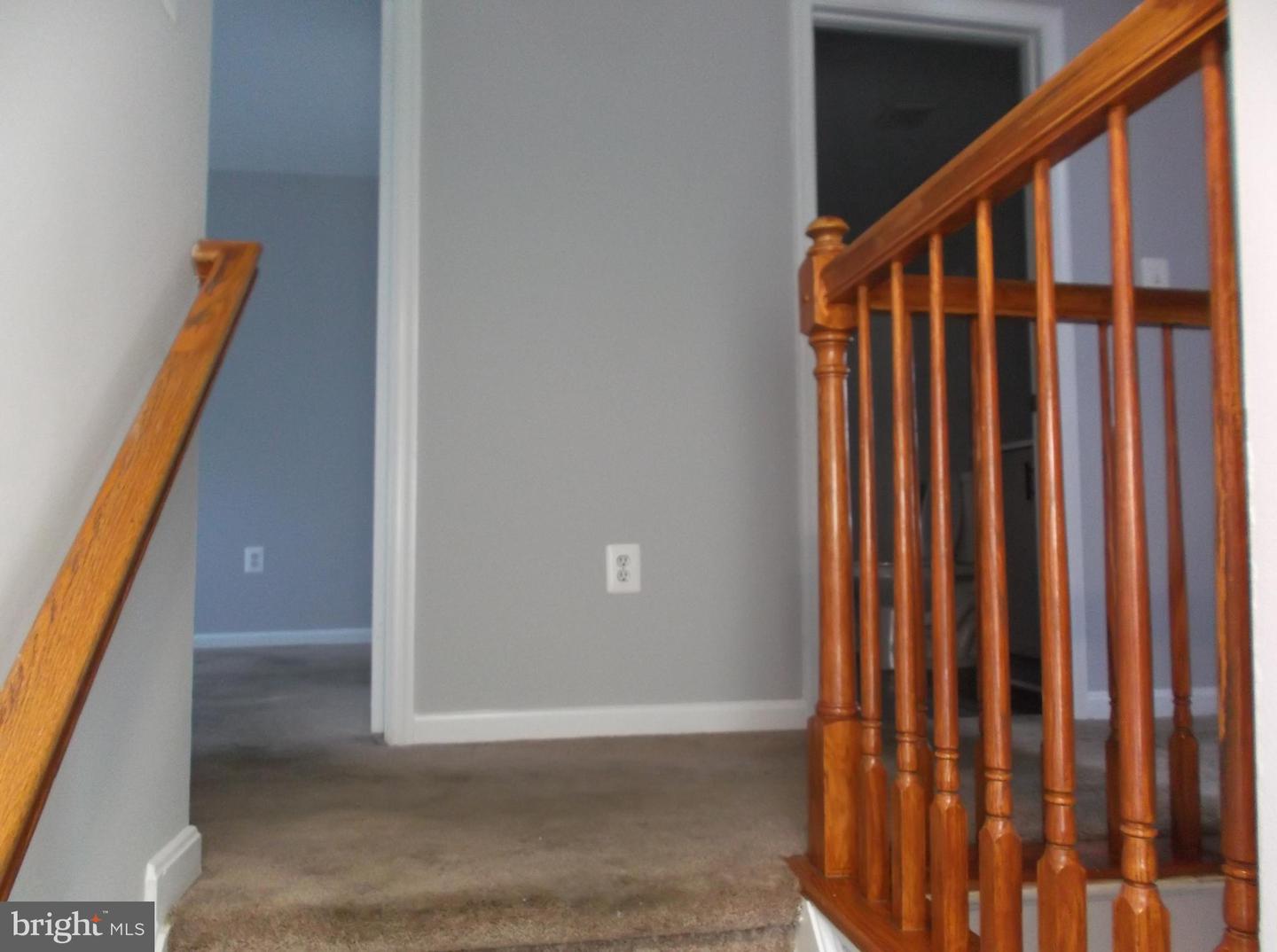9906 Robstown Pl Property Photo 24
