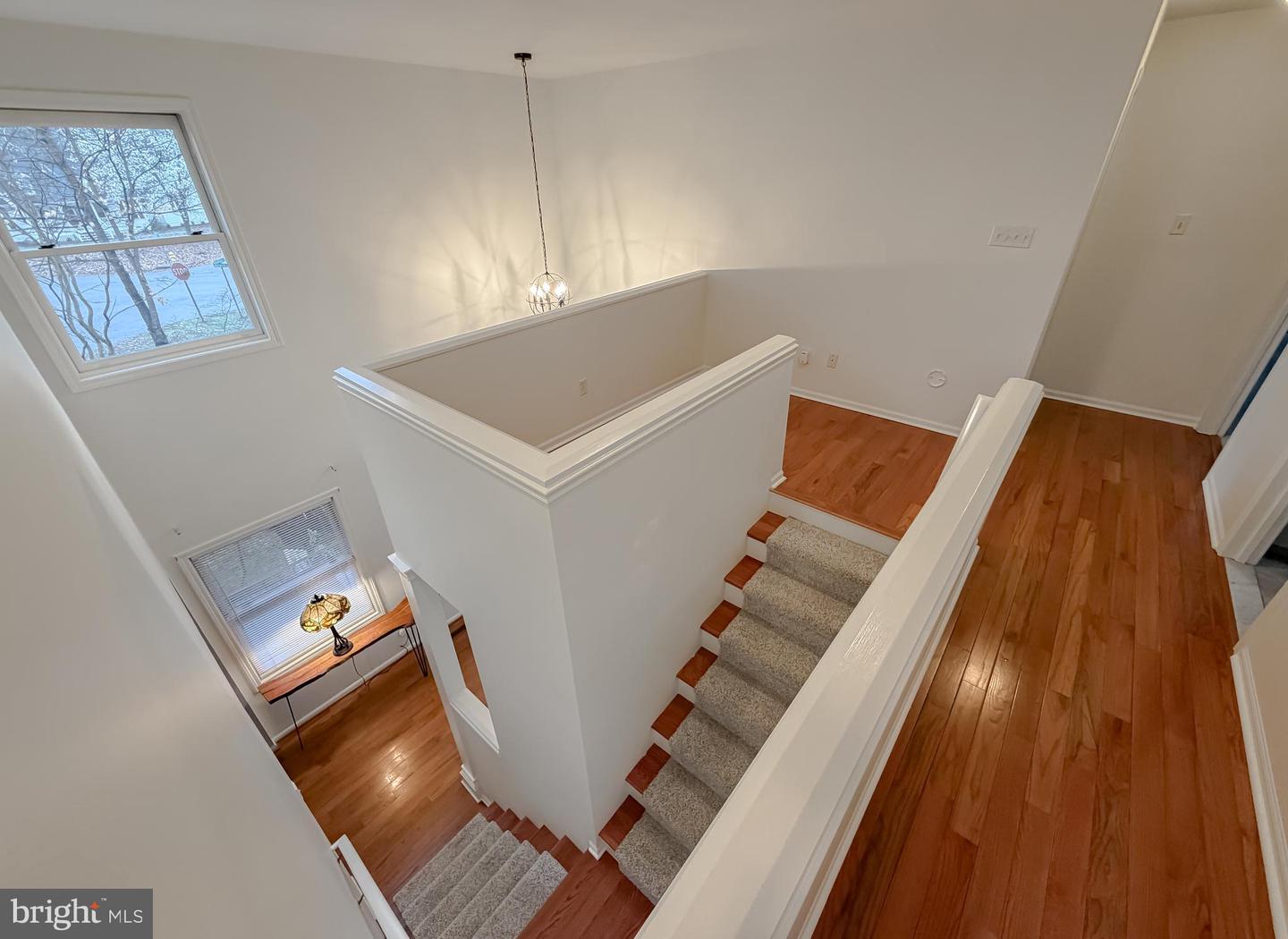 11452 Wollaston Cir Property Photo 59