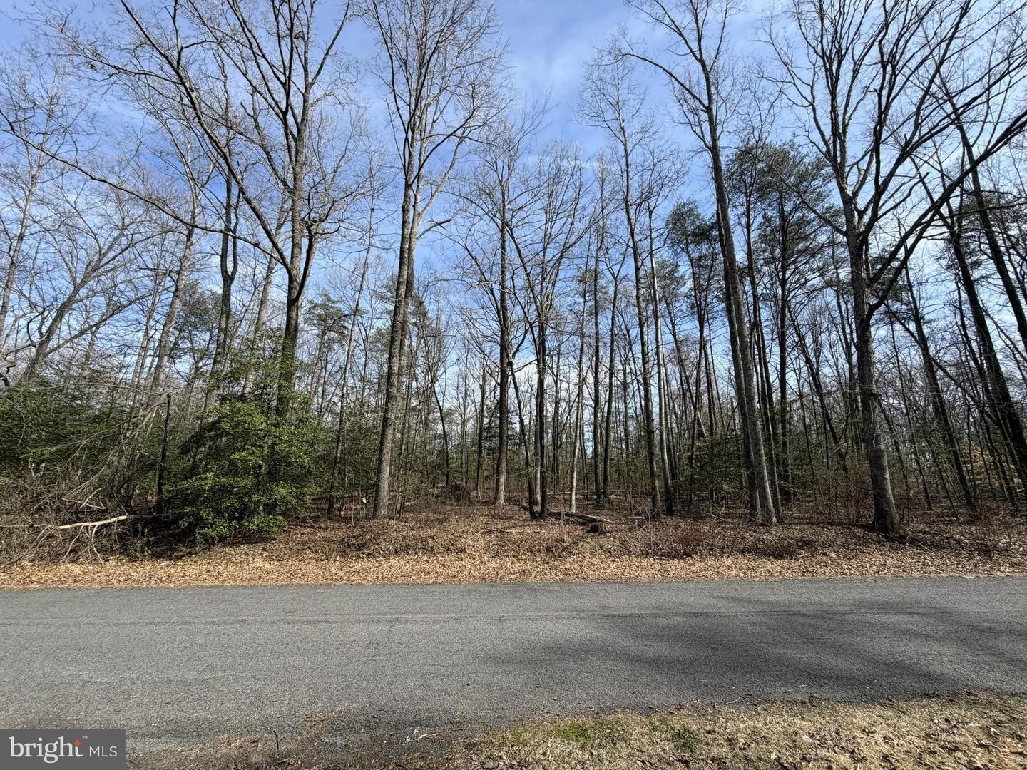 Lot 8a Park Ave Property Photo 1