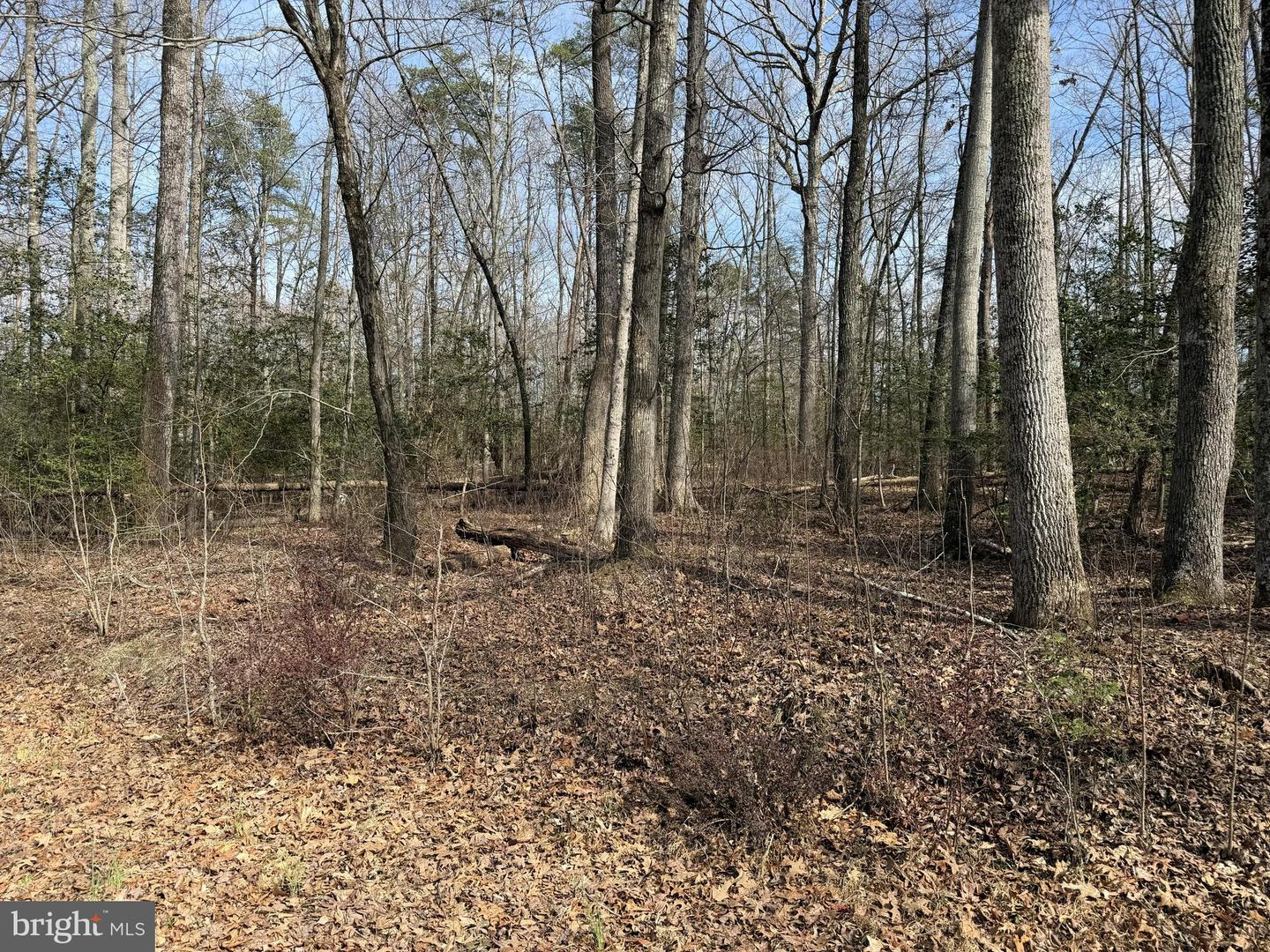 Lot 8a Park Ave Property Photo 2