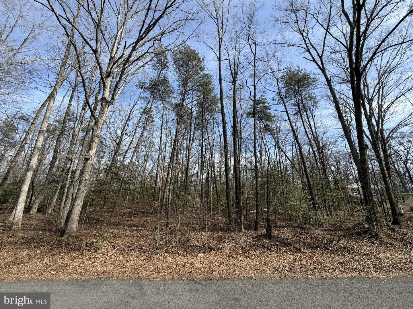 Lot 9a Park Ave Property Photo 1