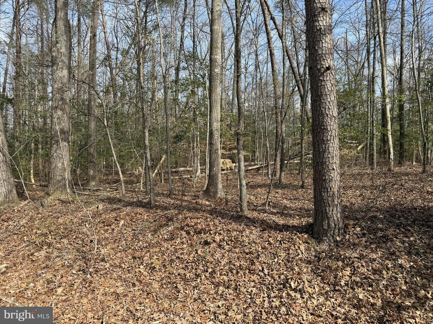 Lot 9a Park Ave Property Photo 2