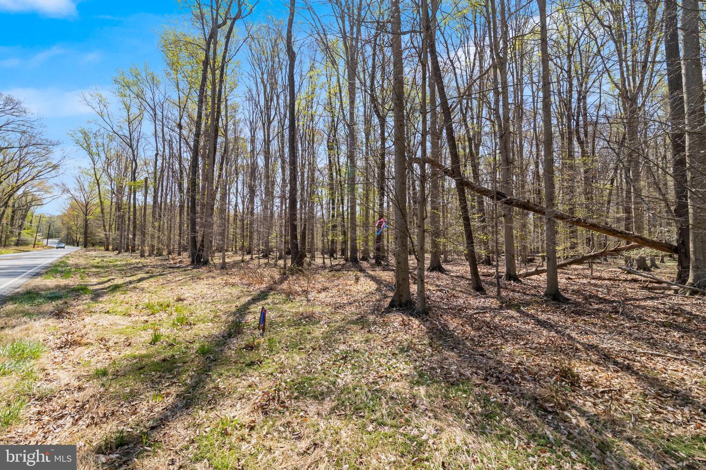 Lot 13 Billingsley Rd Property Photo 1