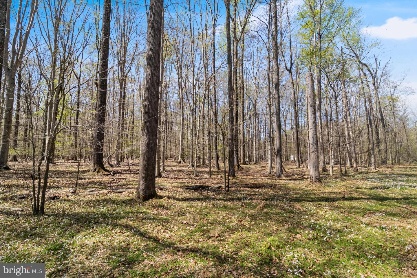 Lot 14 Billingsley Rd Property Photo 1