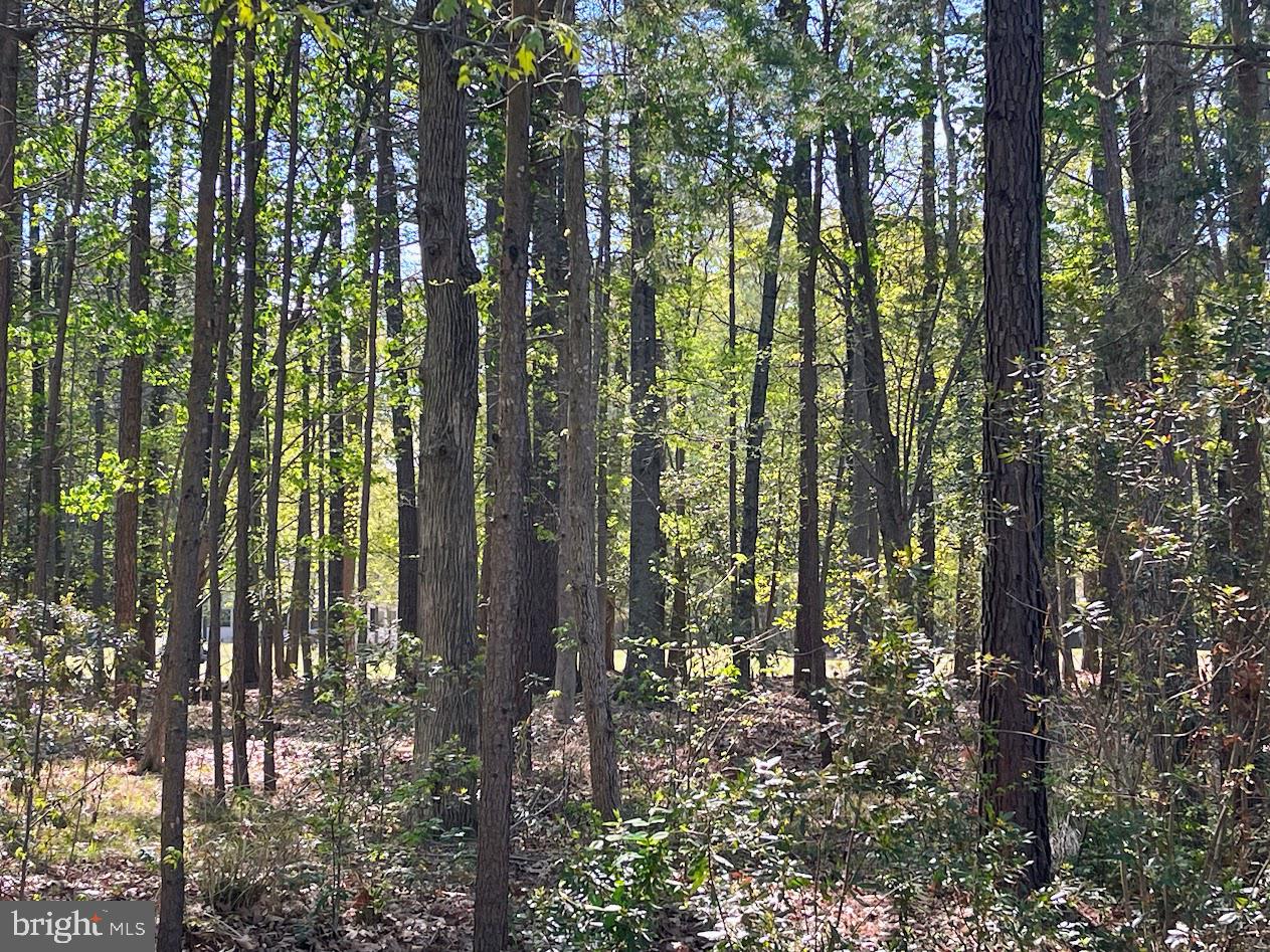 11235 Annabelle Dr Property Photo 2