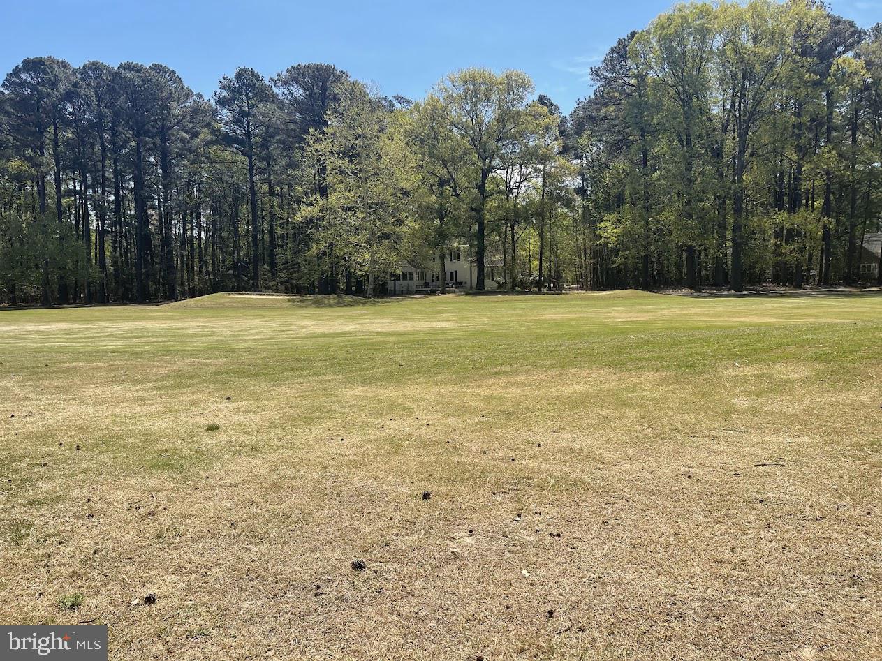 11235 Annabelle Dr Property Photo 4