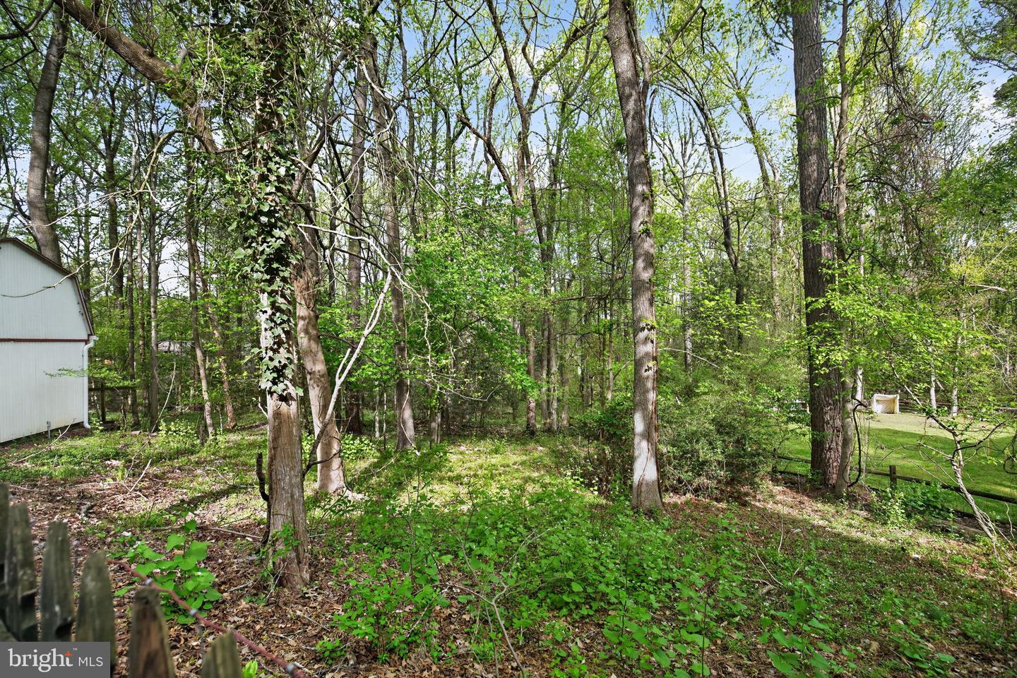 507 Chestnut Ct Property Photo 50