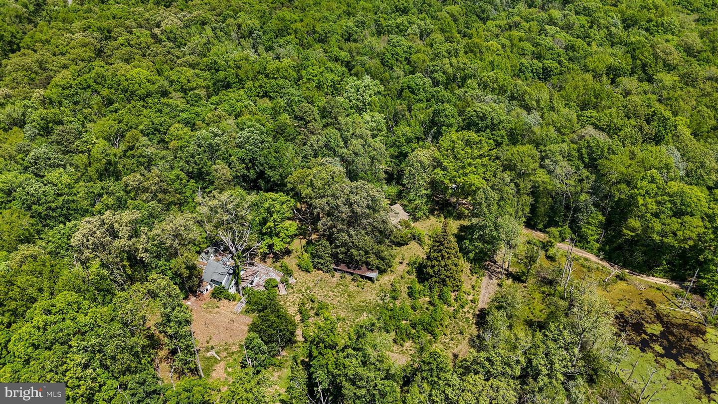 10525 Jaybee Ln Property Photo 4