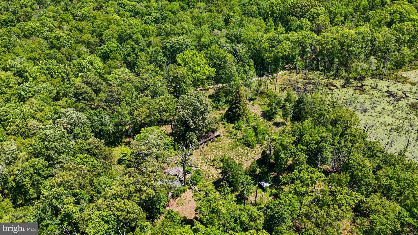 10525 Jaybee Ln Property Photo 6