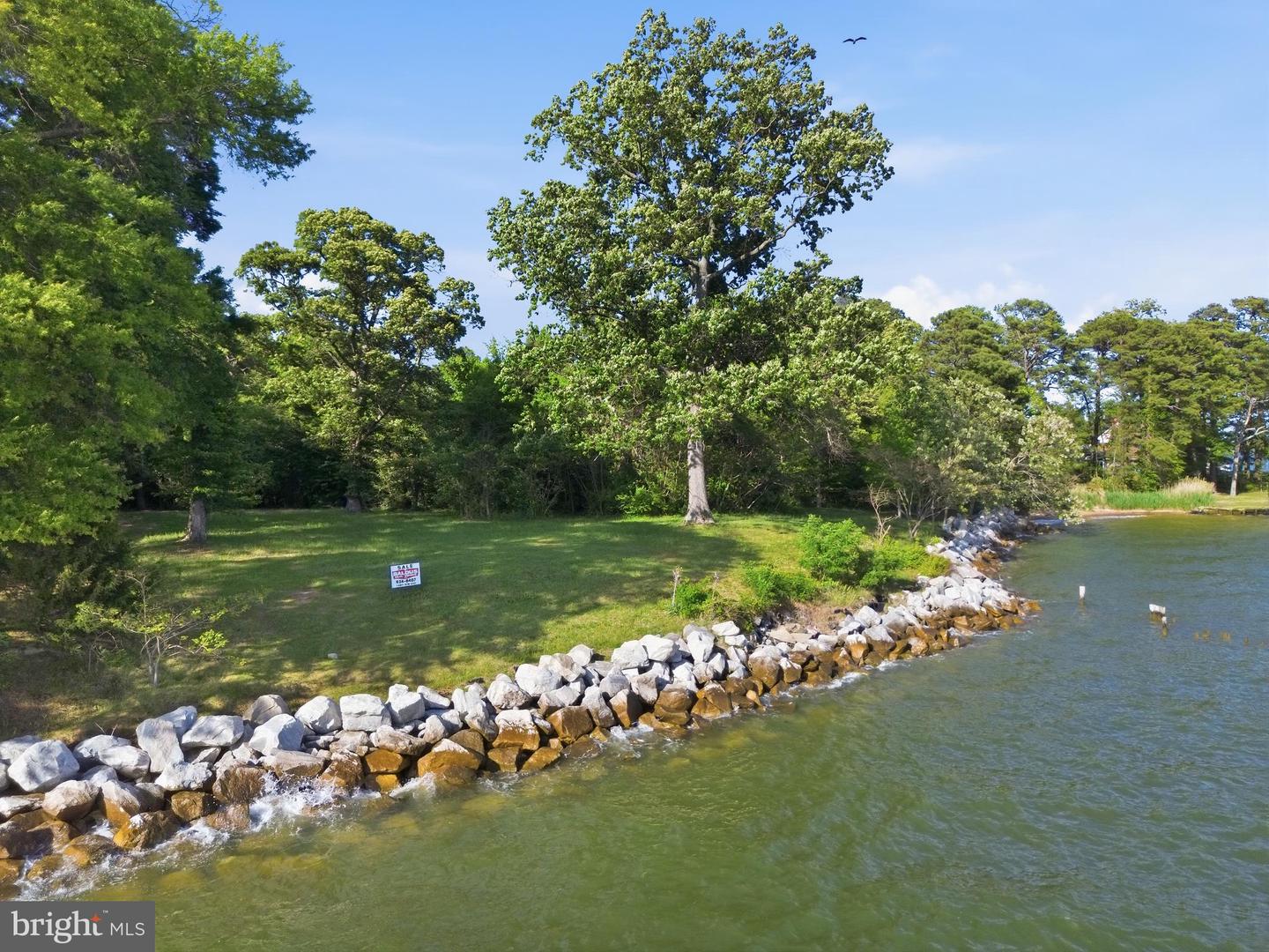 15567 Potomac River Dr Property Photo 6