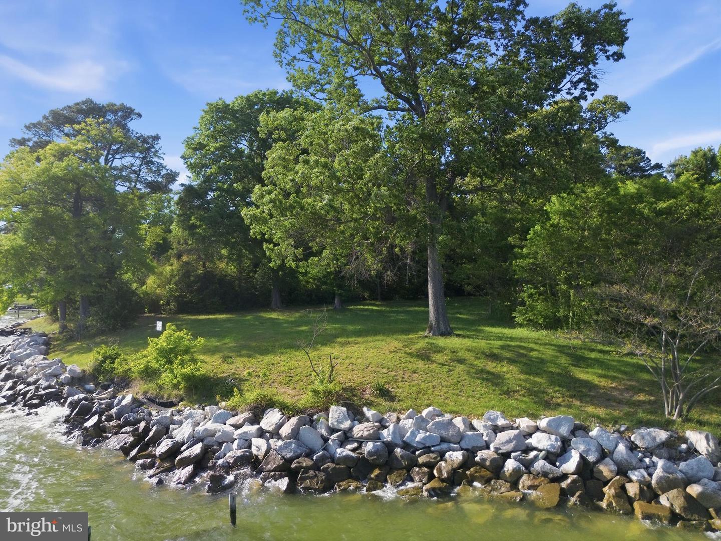 15567 Potomac River Dr Property Photo 7