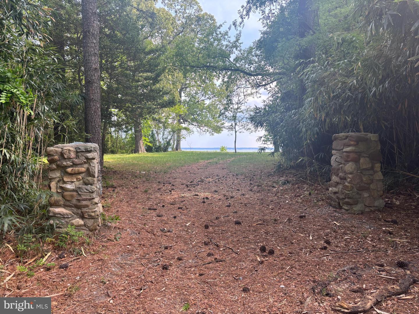 15567 Potomac River Dr Property Photo 8