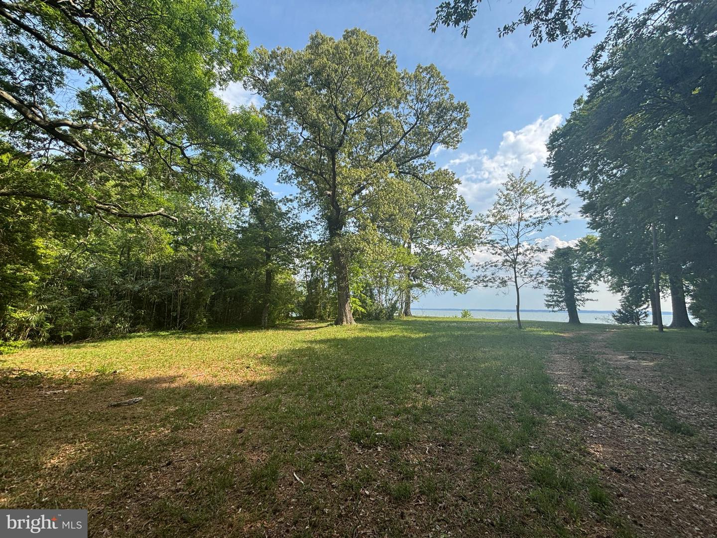 15567 Potomac River Dr Property Photo 9