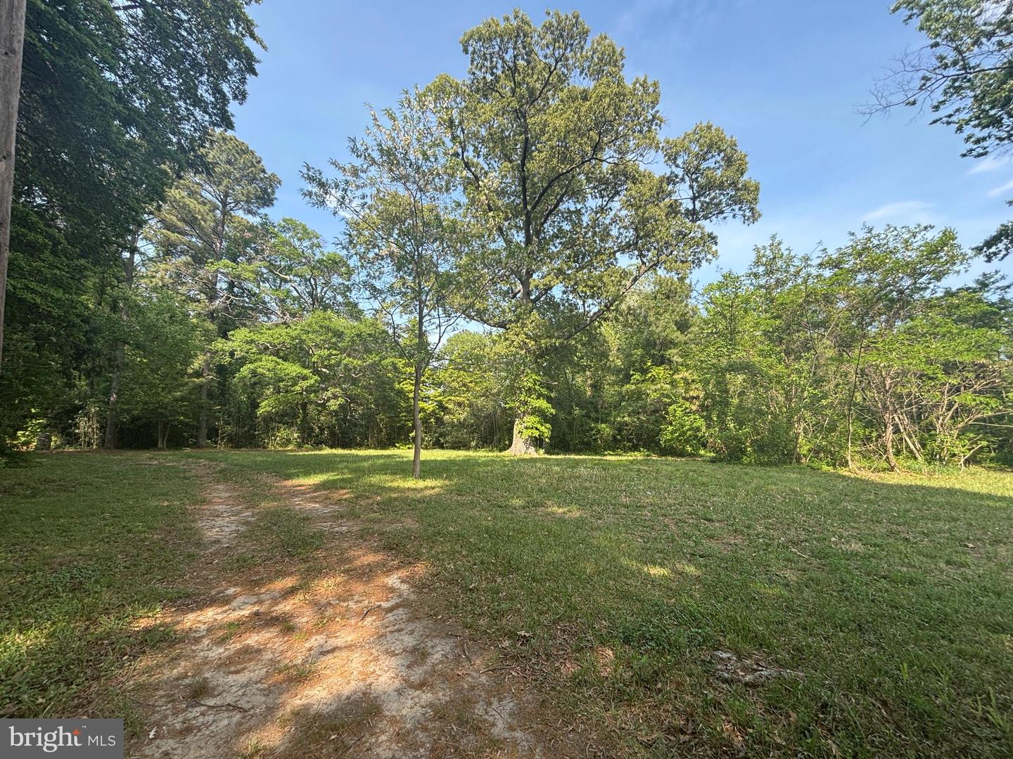 15567 Potomac River Dr Property Photo 10