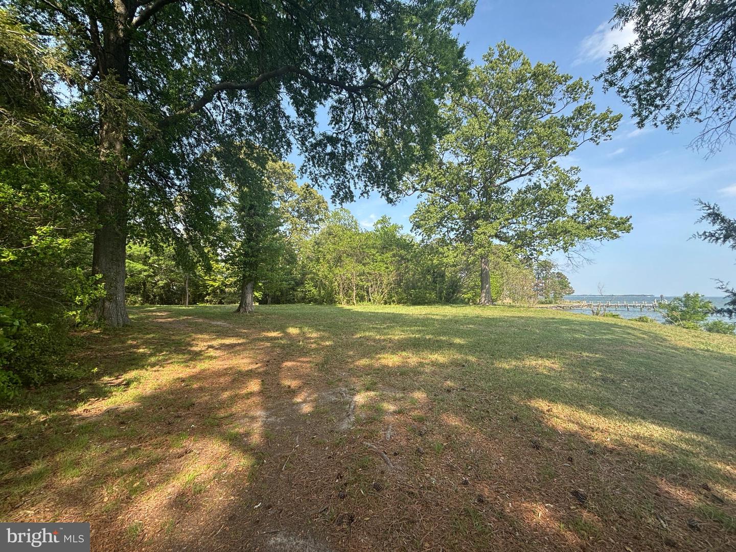 15567 Potomac River Dr Property Photo 11