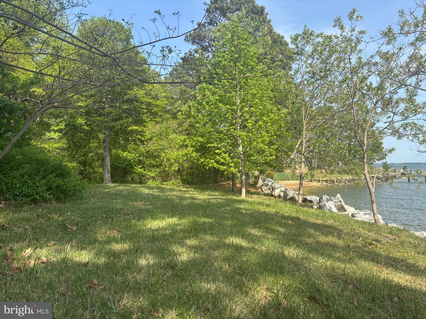 15567 Potomac River Dr Property Photo 15