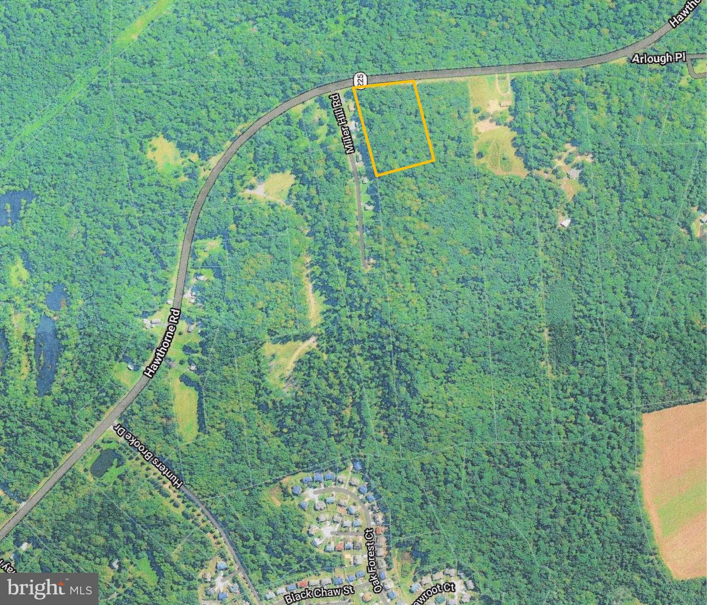 Hawthorne Property Photo 2