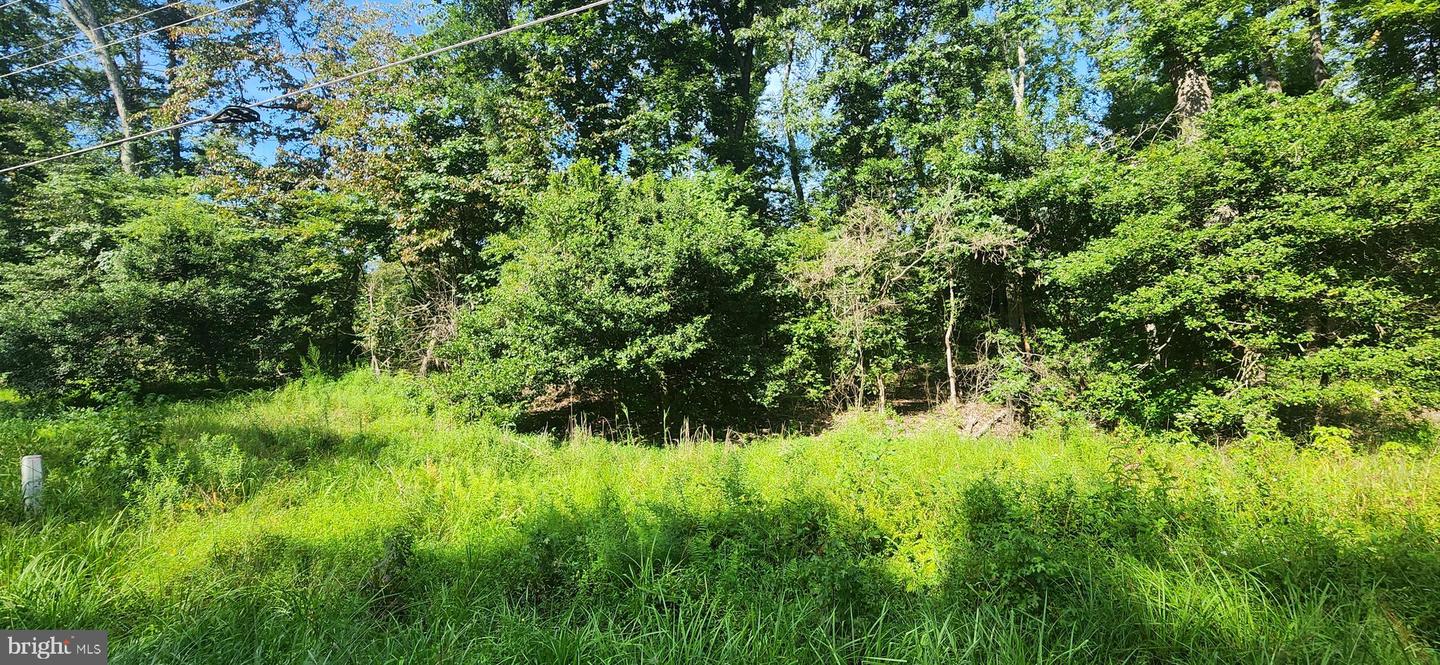 Hawthorne Property Photo 8