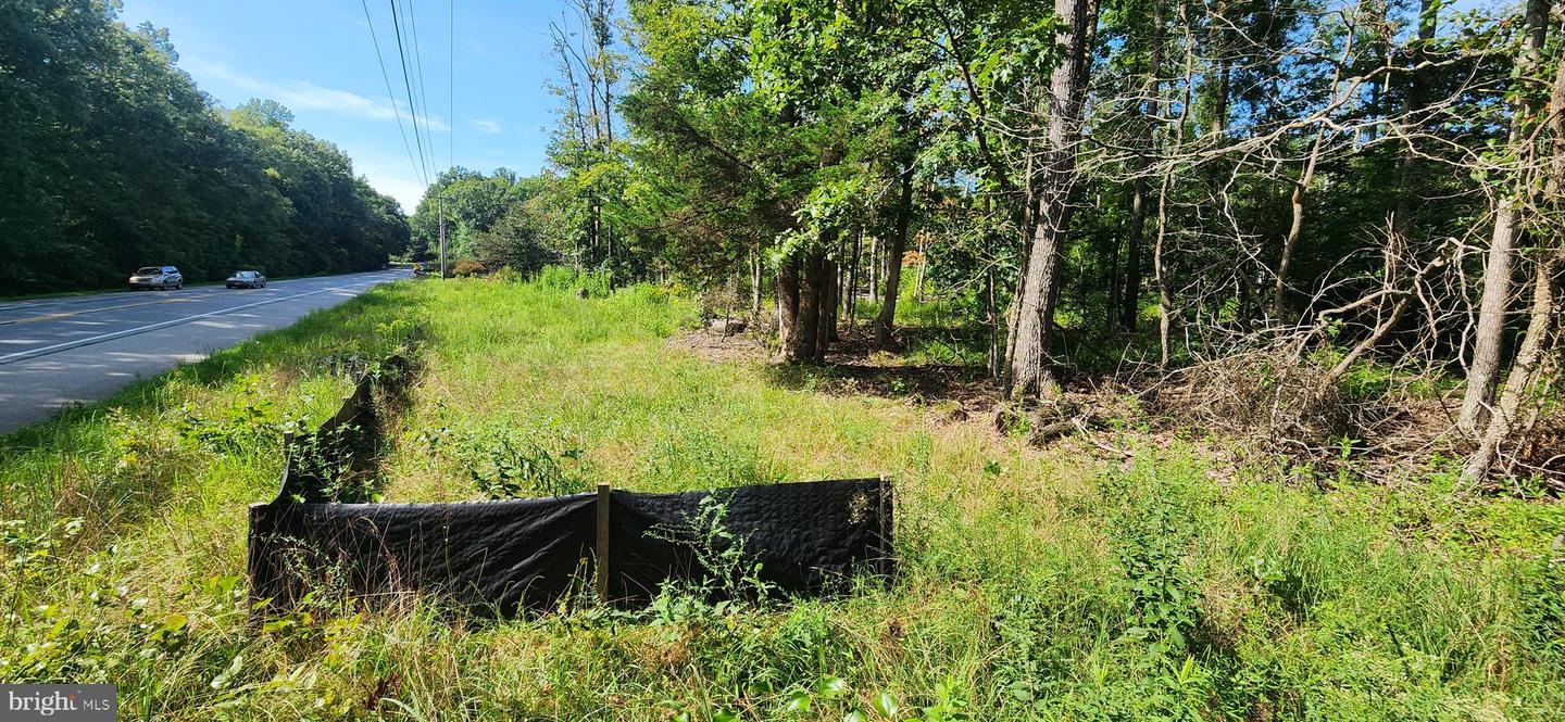 Hawthorne Property Photo 12