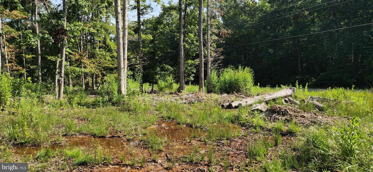 Hawthorne Property Photo 14