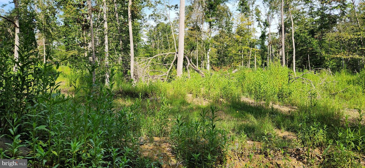Hawthorne Property Photo 15