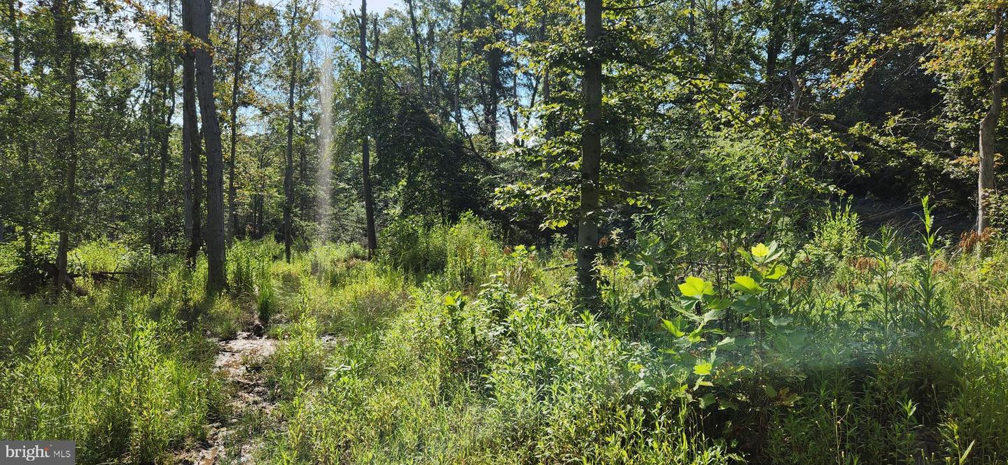 Hawthorne Property Photo 20