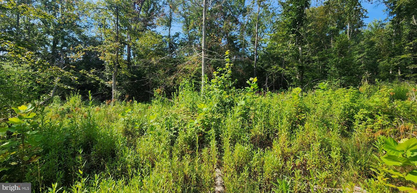 Hawthorne Property Photo 22