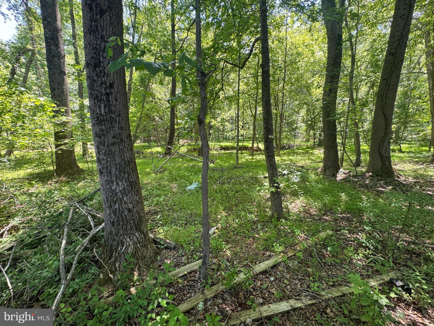 3261 Westdale Ct Property Photo 18