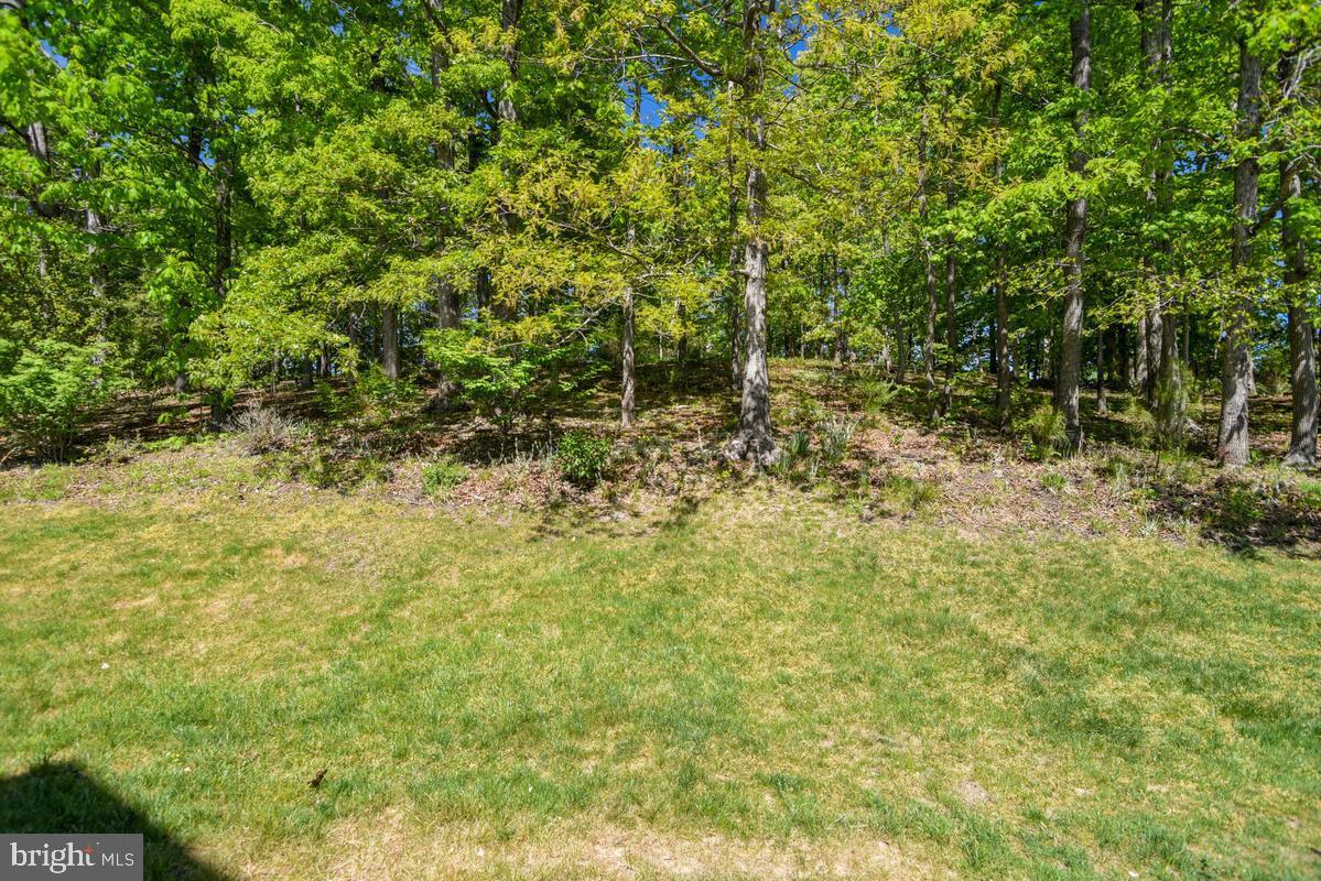 14550 Dusty Miller Ct Property Photo 13