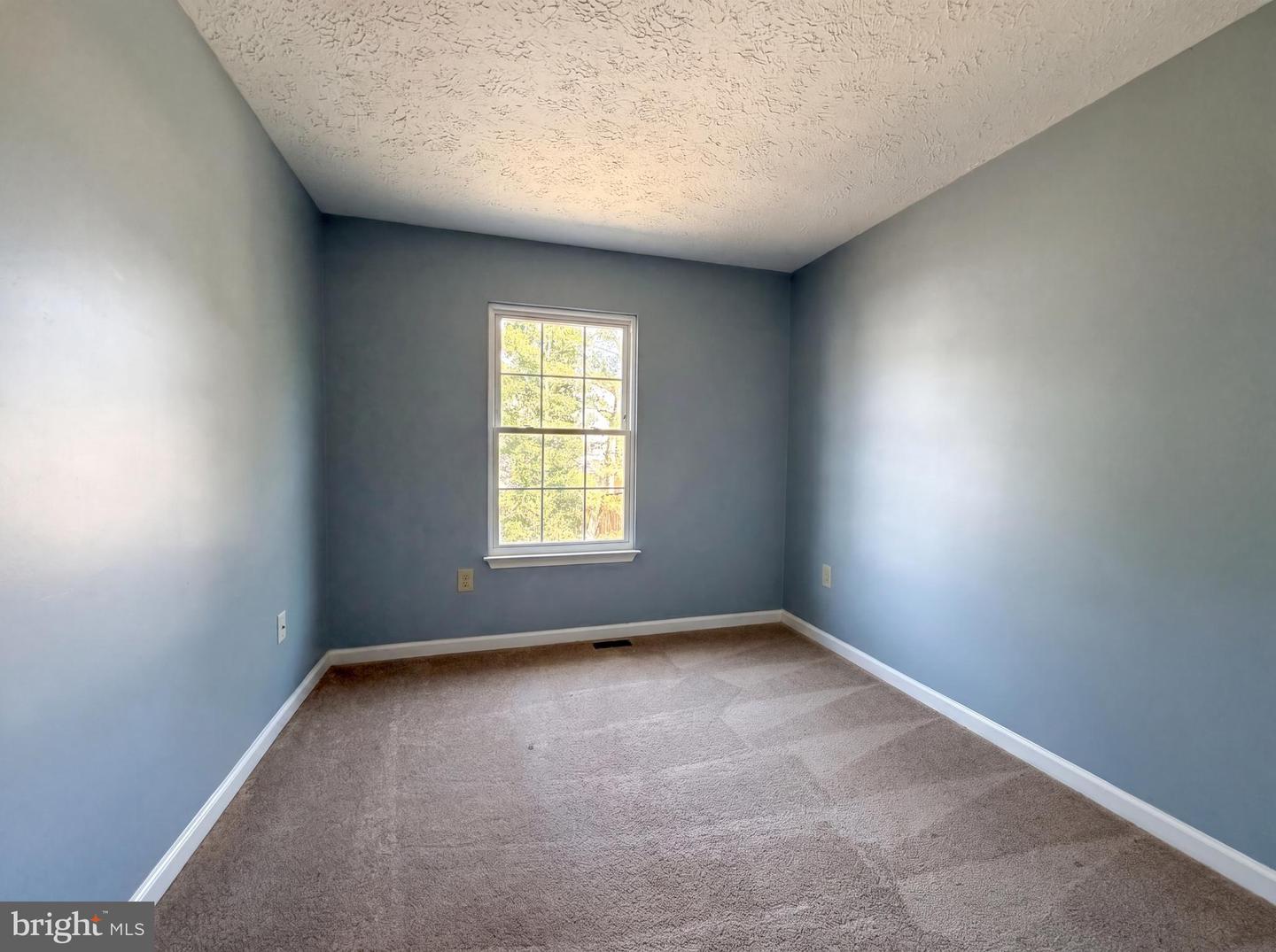 5812 Springfish Pl Property Photo 11