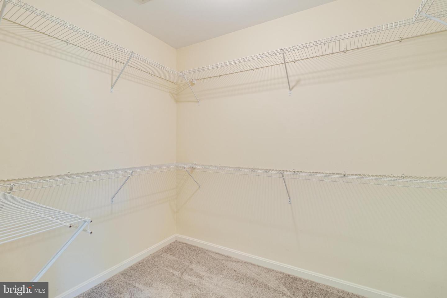 11645 Bachelors Hope Ct Property Photo 26