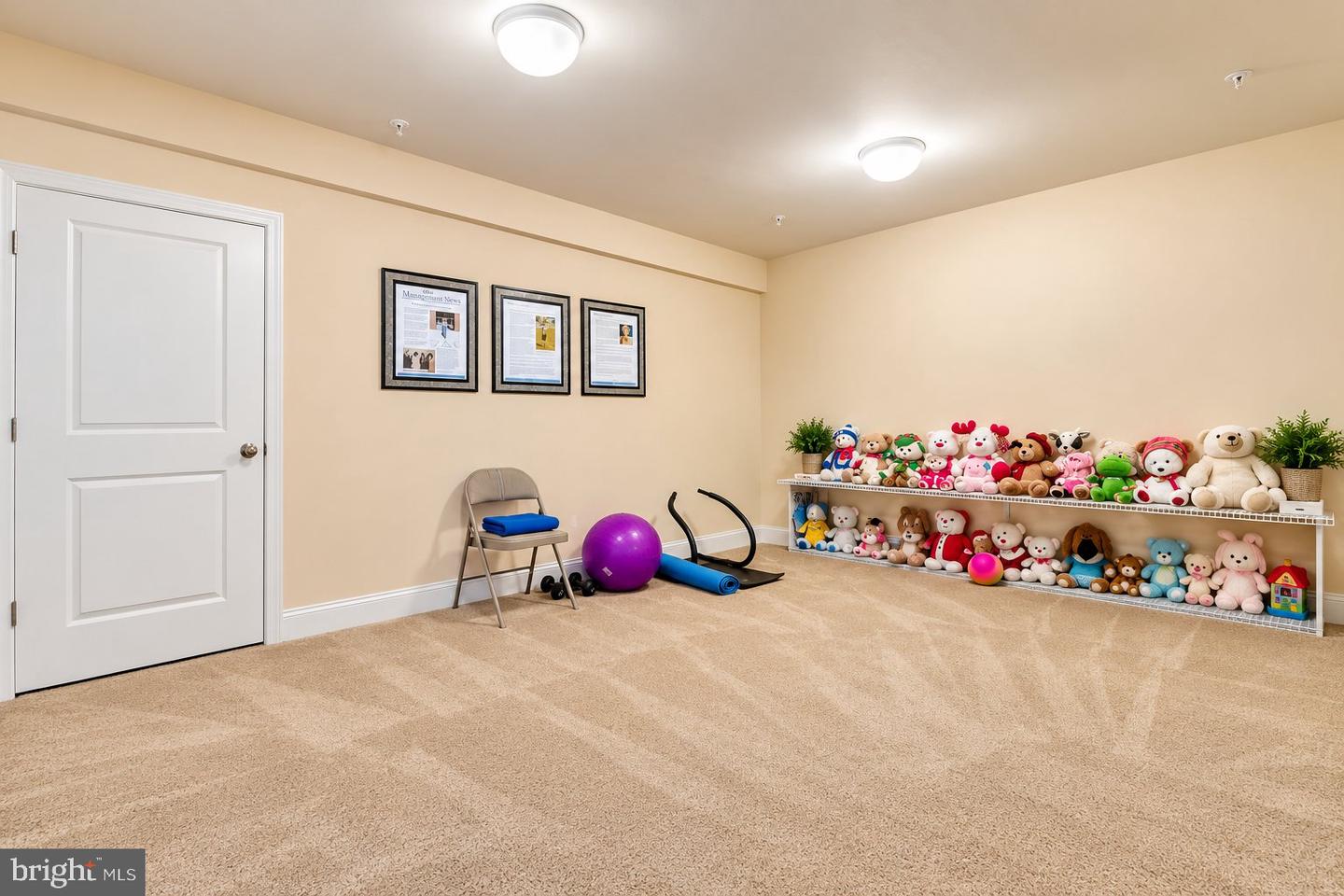 11239 Penzance Ln Property Photo 22