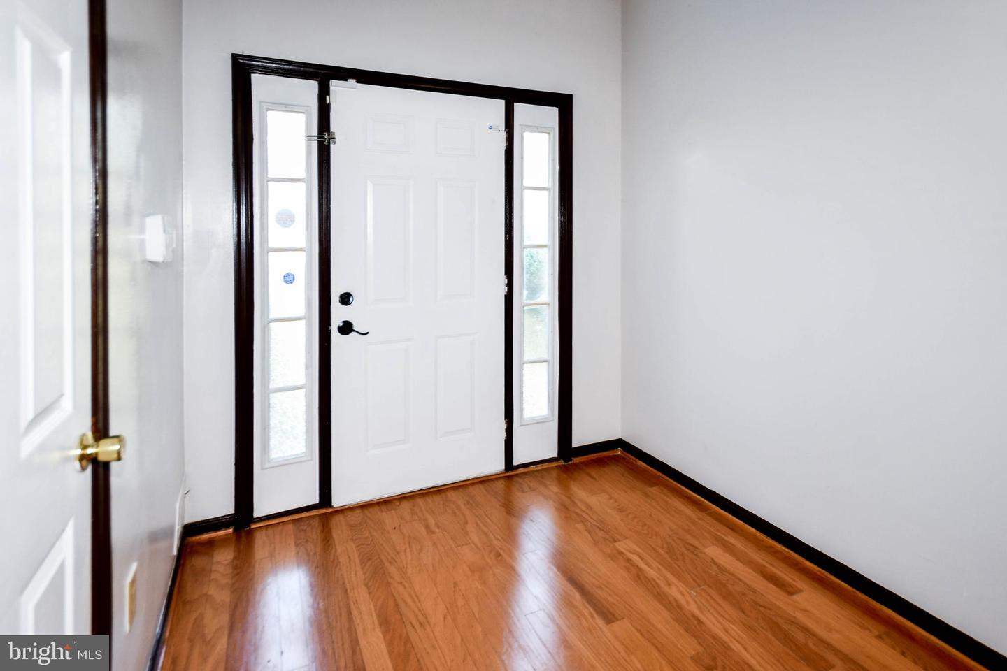 5007 Doctorfish Ct Property Photo 17