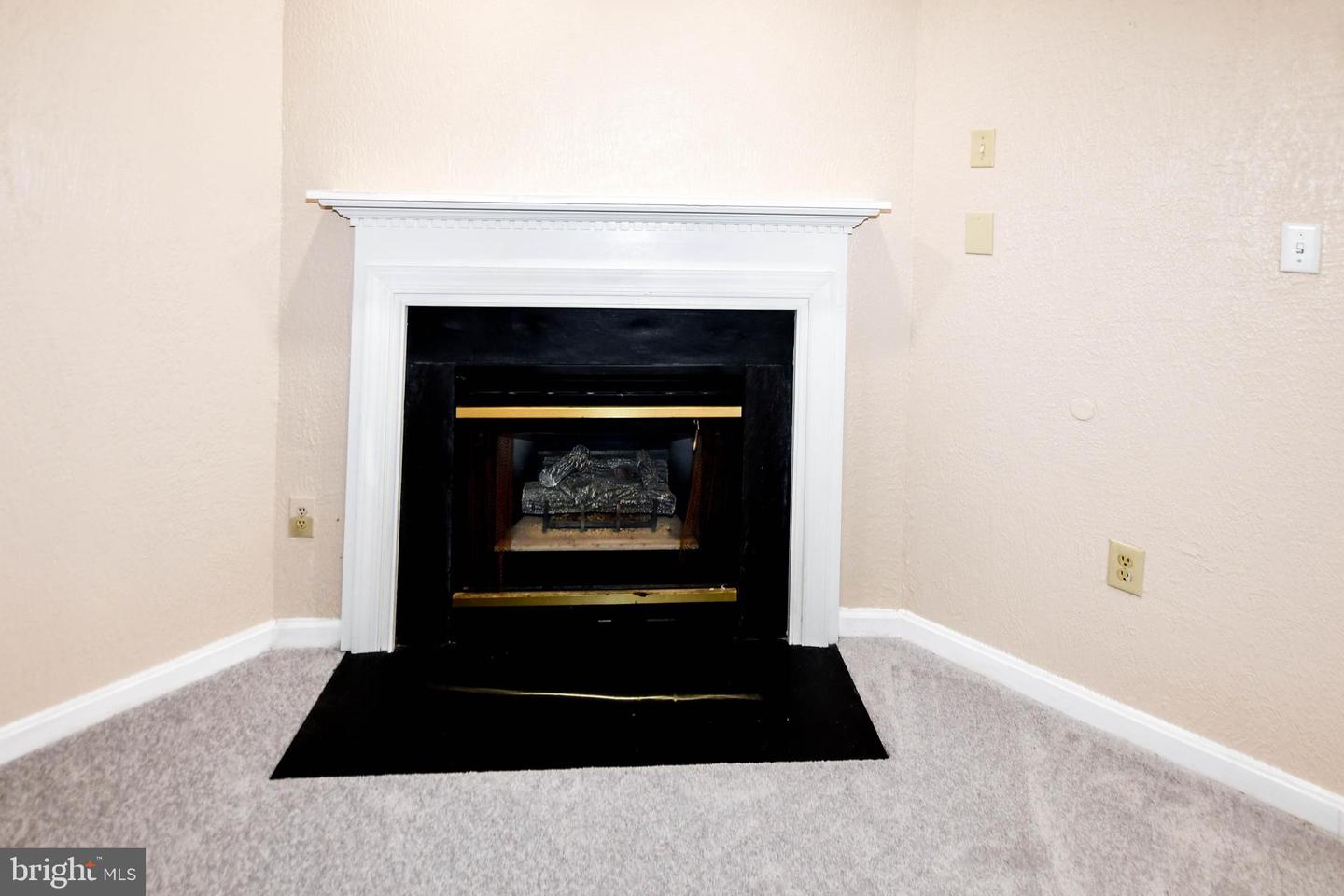 5007 Doctorfish Ct Property Photo 19