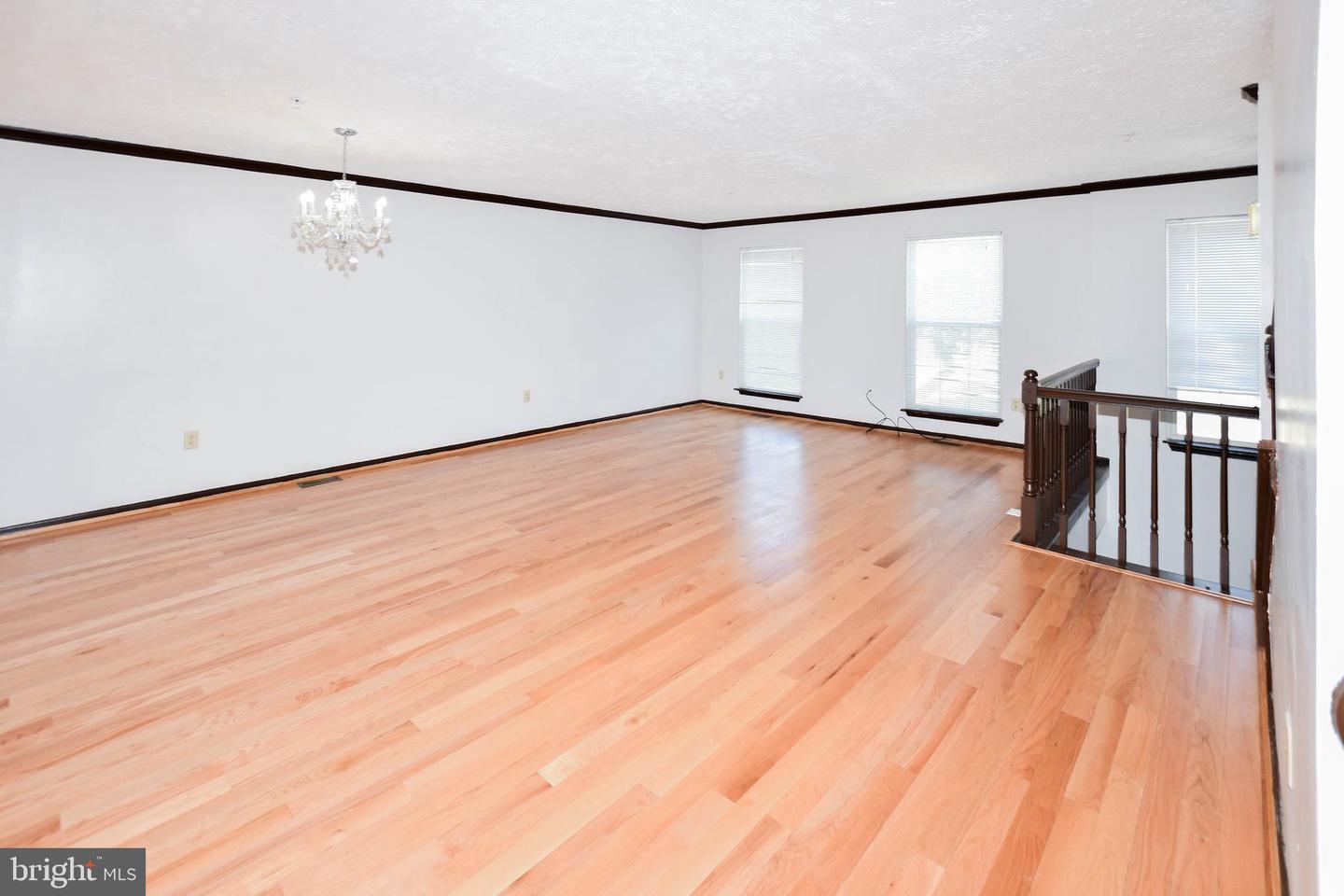 5007 Doctorfish Ct Property Photo 29