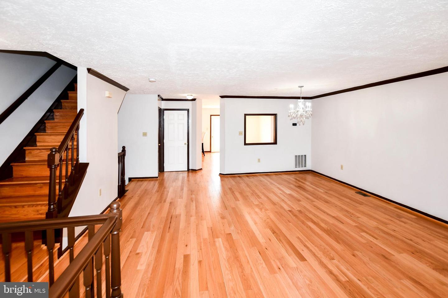 5007 Doctorfish Ct Property Photo 31