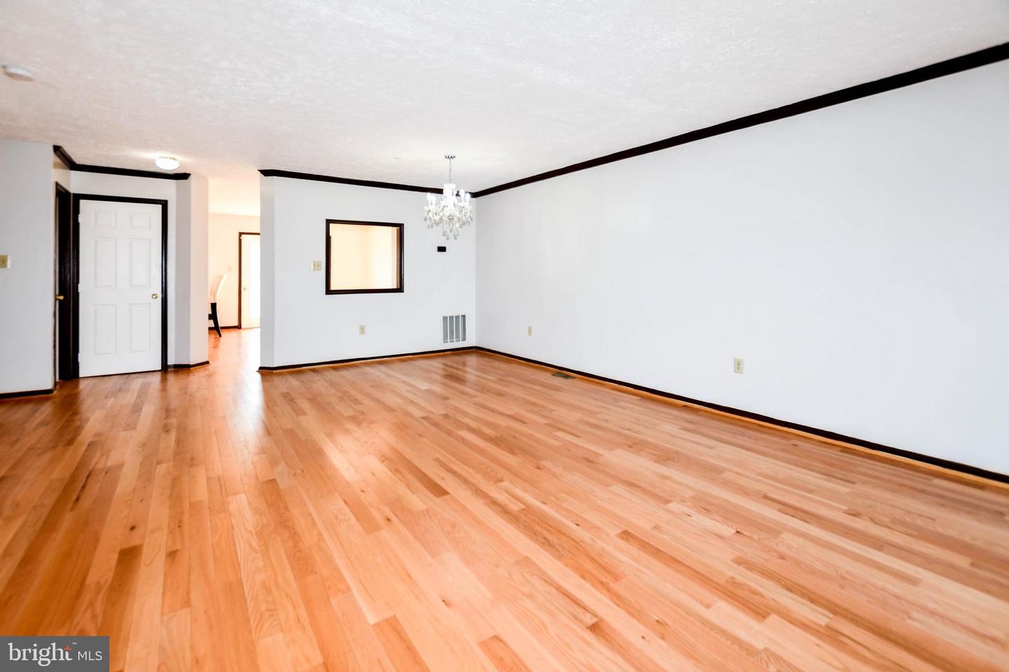 5007 Doctorfish Ct Property Photo 32