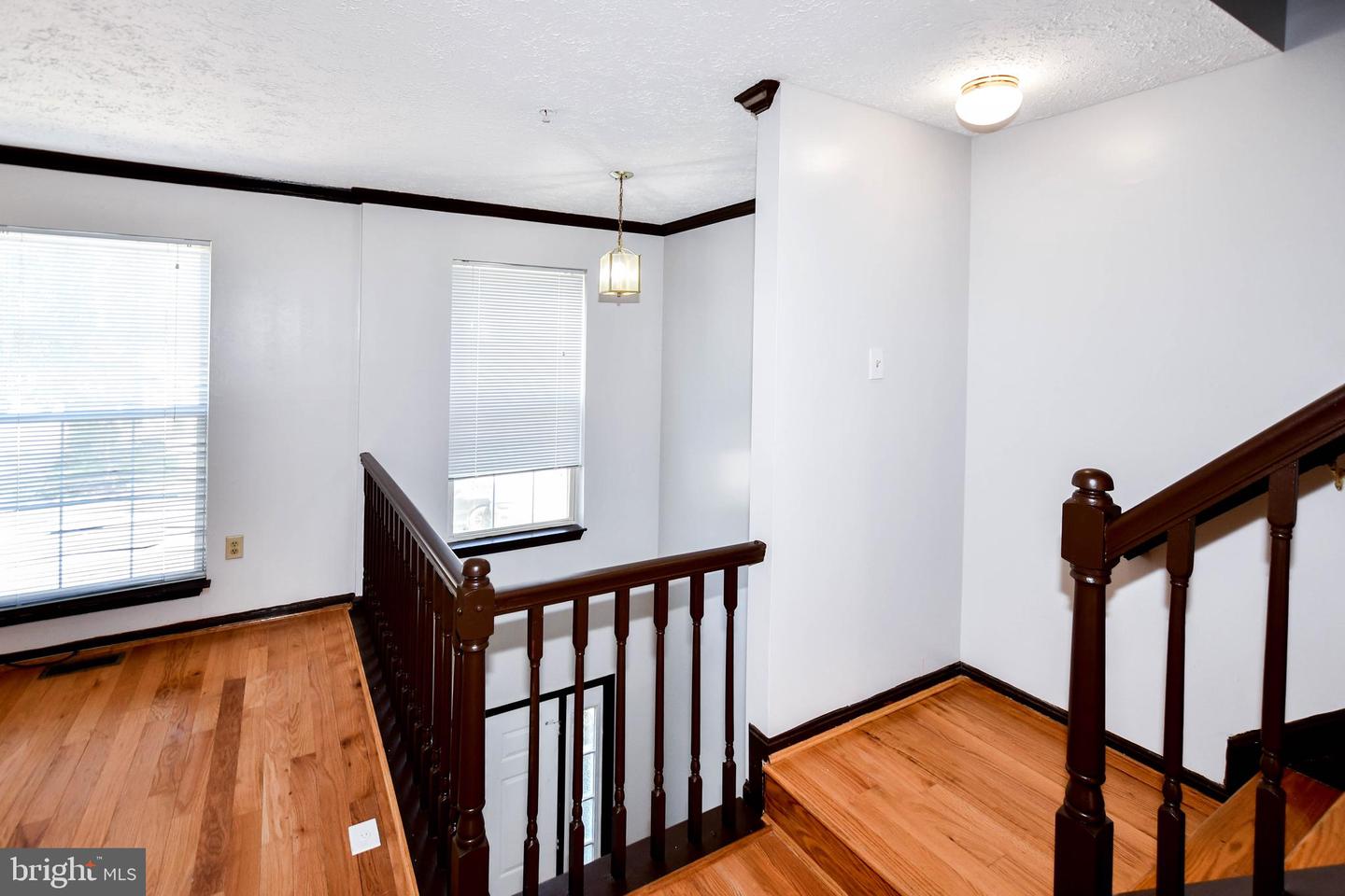 5007 Doctorfish Ct Property Photo 46