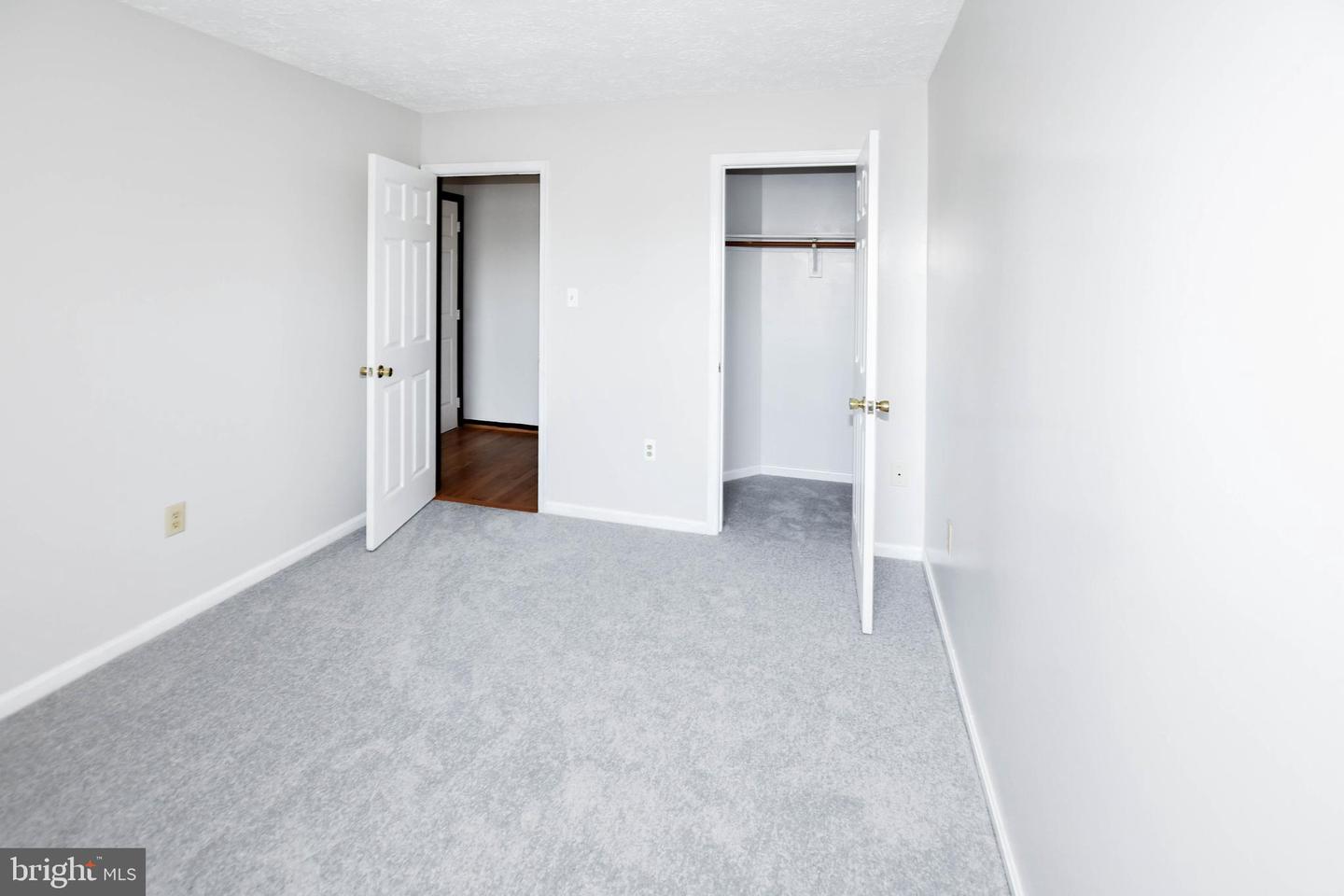 5007 Doctorfish Ct Property Photo 51