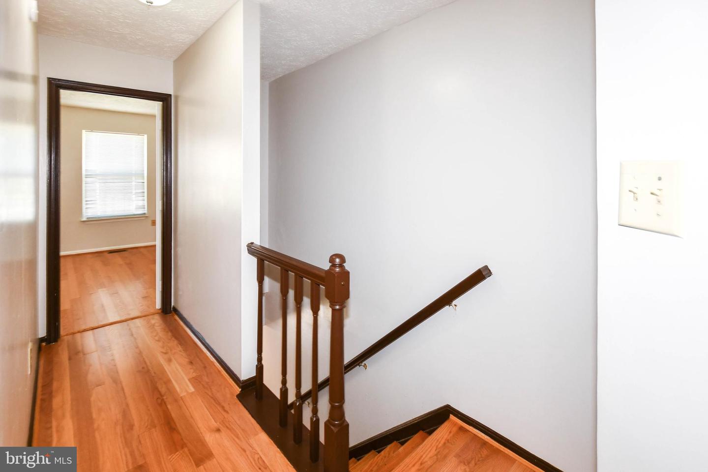 5007 Doctorfish Ct Property Photo 60
