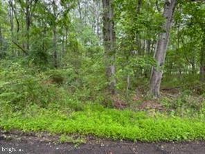 0 Swann Point Rd Property Photo 3