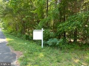0 Swann Point Rd Property Photo 4