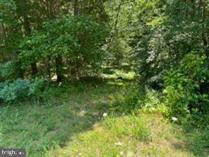 0 Swann Point Rd Property Photo 5