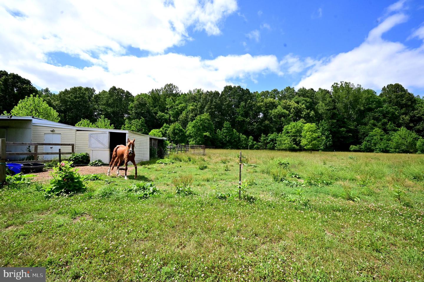 5745 Cues Favorite Pl Property Photo 24