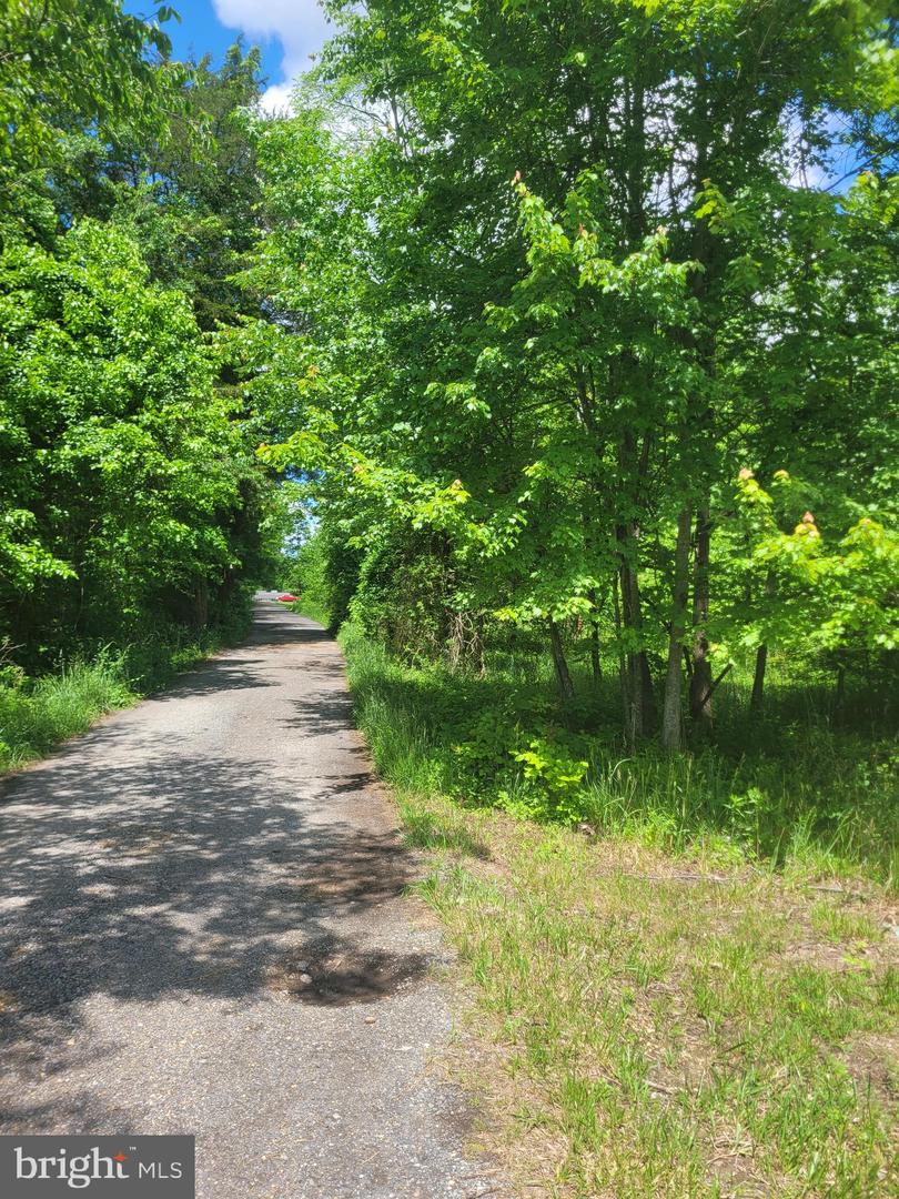 Jermaine Pl Property Photo 5