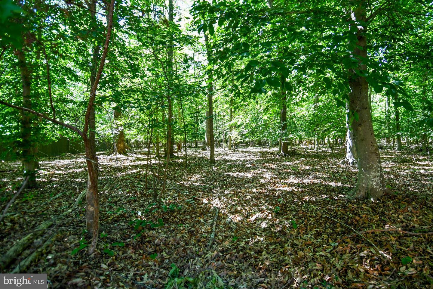 8870 Brook Dr Property Photo 45