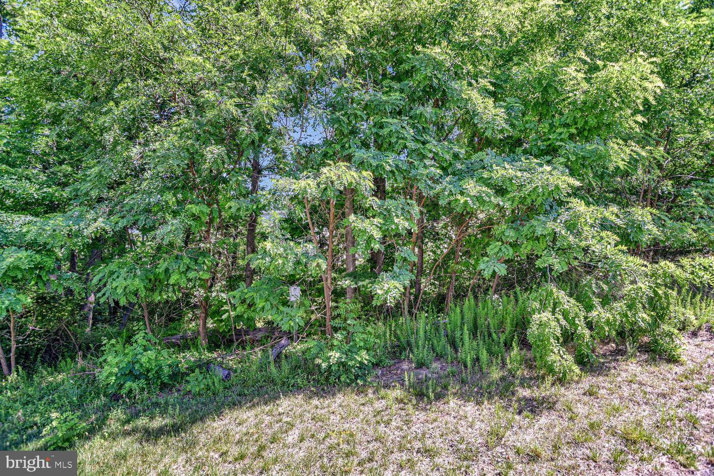 2950 Knight Ct Property Photo 44