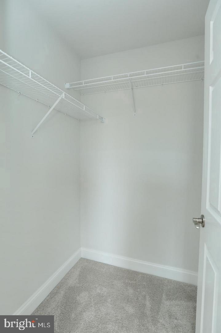 3116 Alfalfa Cir Property Photo 34