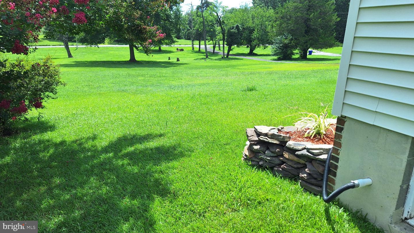 7108 Glen Albin Rd Property Photo 19