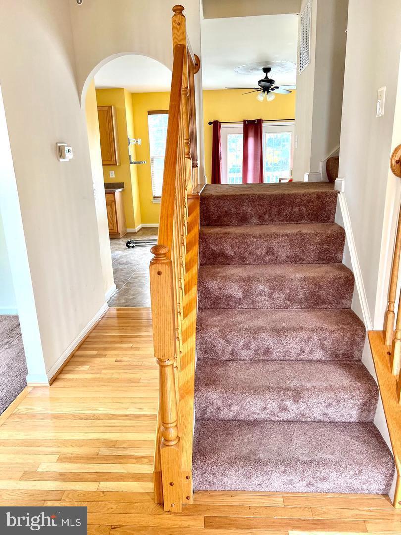 10017 Wamsley Ct Property Photo 12